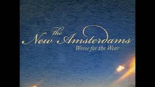 18 • The New Amsterdams - Poison in the Ink  (Demo Length Version)