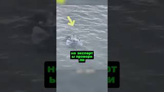 Люди или Джинны?