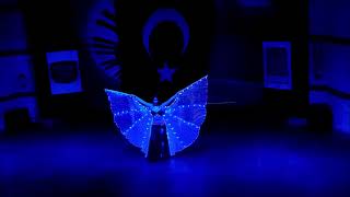 Beautiful Butterfly Dance 💞💞 | Amazing World