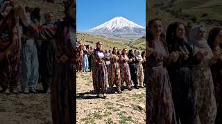 Halay Oynayan Kadınların Renkli ve Coşkulu Anları #halay #kurdish #kurtce #düğün  #gelin  #halaybasi