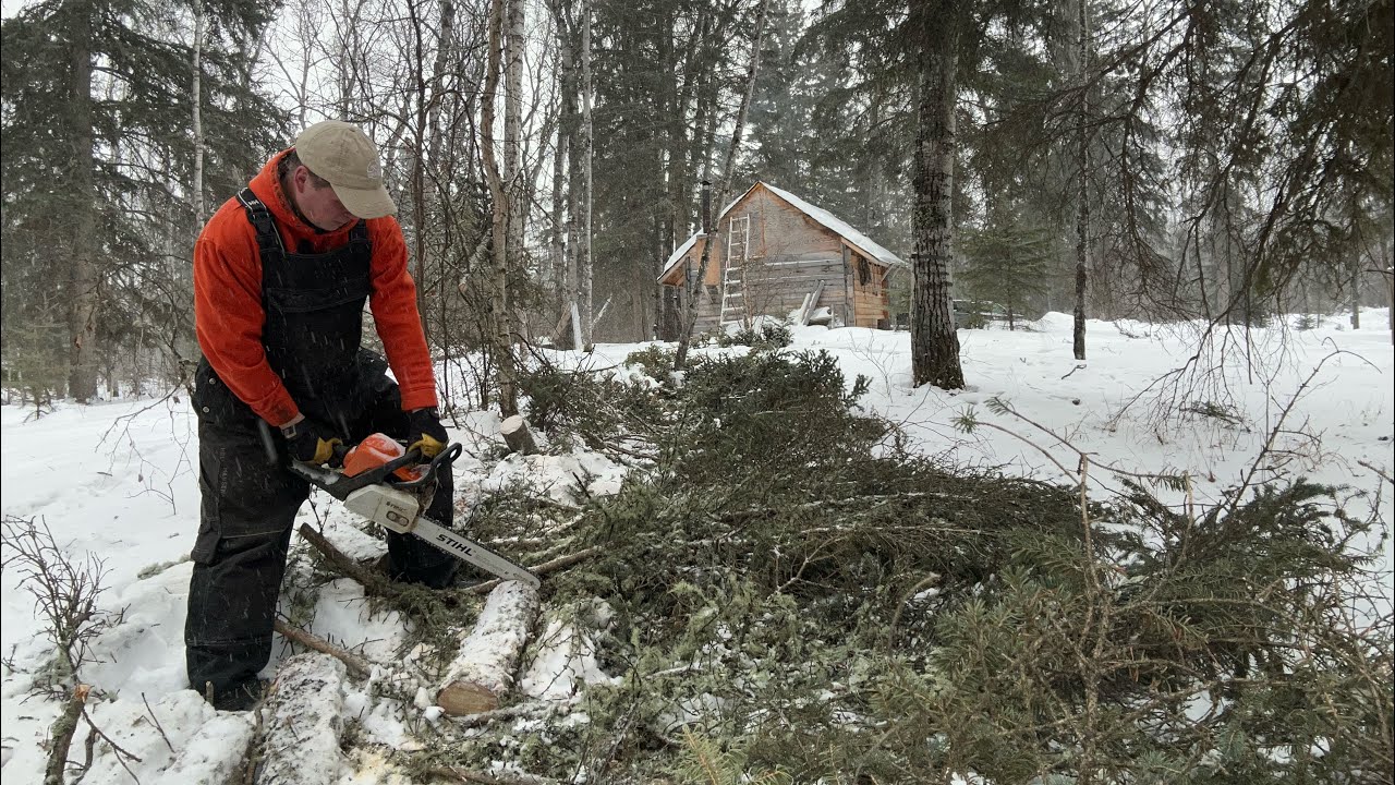 WIND storm, blown down trees and the clean up! - YouTube