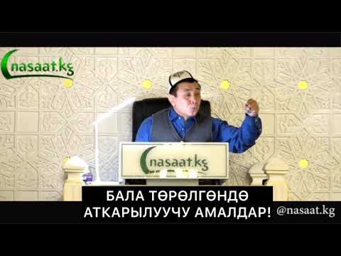 Video: Туулганда канча ымыркай алмашат?