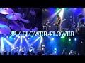 [Cover] 夢/FLOWER FLOWER  OBライブ2023 at 西川口Hearts