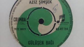 Aziz Şimşek-Gülüşen Bağı Resimi