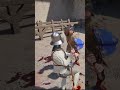 4 Brutal Kills in Half Sword