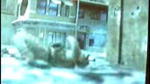 zzirGrizz ECHO part 2