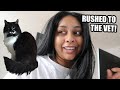 Weekly Vlog: HAD TO RUSH MY CAT TO THE VET! Lidl Shopping, Laser Hair Removal & TikTok Viral Honey