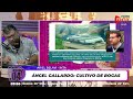 CRIADERO de BOGAS en Ángel Gallardo SANTA fe
