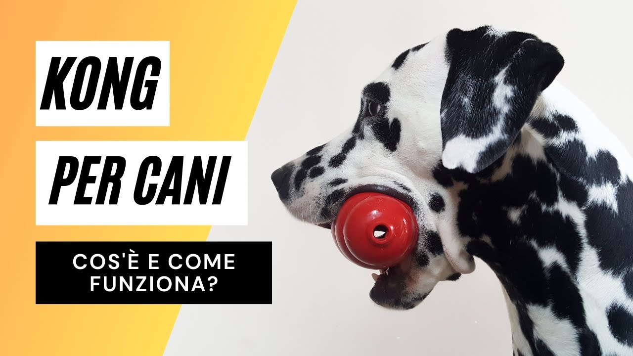Kong per cani: cos'è e come si usa