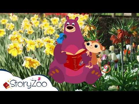 StoryZoo In De Keukenhof 💐 | Keizerskroon 🌻 & Narcis 🌼 | Educatieve video's voor kinderen
