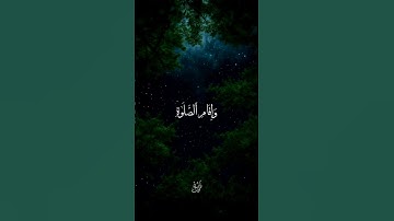 راحة و طمأنينة القارئ: أحمد دياب #قرآن #أحمد_دياب