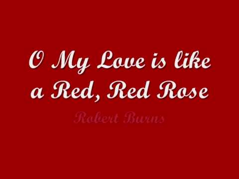 My Love is like a Red, Red Rose- Robert Burns