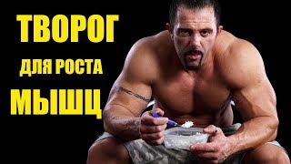 Важность Творога Для Роста Мышц. 5 Факторов