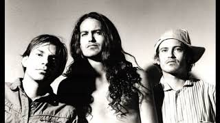 Meat Puppets - 10 Shine - Live at the Roxy 1994