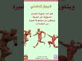 ماهو الجهاز العضلي