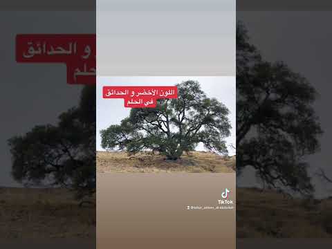 رؤية الأشجار و الحدائق في الحلم ت بشر بالخير