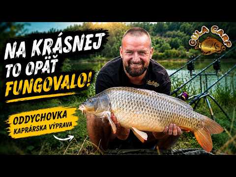 Štrkovisko Krásna nesklamalo! Krásne kapre a pravidelné zábery🎣