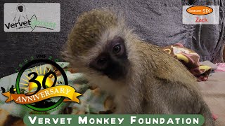 Zach's Journey: Heartwarming Updates and Engeltjie Troop Monitoring