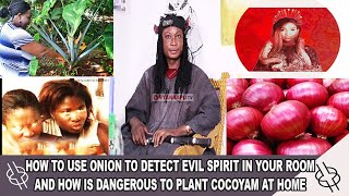 HOW TO USE ONION TO DETECT EVIL SPIRIT IN YOUR ROOM AND HOW IS DANGEROUS TO PLANT COCOYAM AT HOME