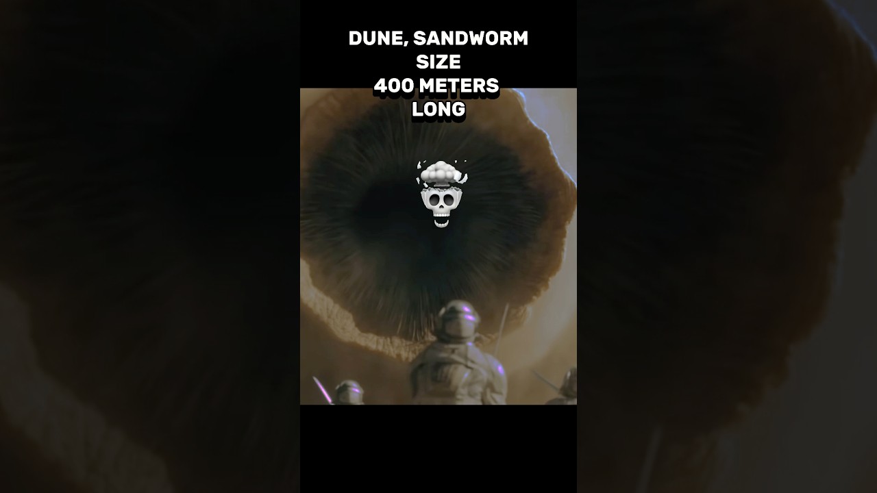 THE BLOOP VS MULTIVERSE SIZE COMPARISON 