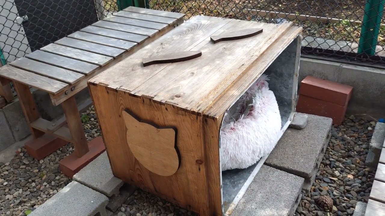 いくら家のいつもの暮らし🌿🍂🍃お外🛖とお庭の🥦猫との日々🐾