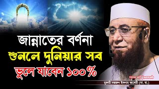 জান্নাতের বর্ণনা শুনলে দুনিয়ার সব ভুলে যাবেন / Mufti njrul Islam kasemi / মুফতী নজরুল ইসলাম কাসেমী