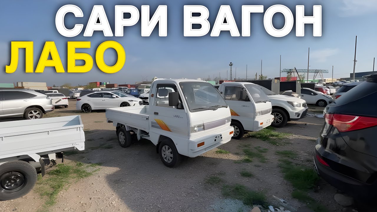 Сари Вагон Лабо Портер!