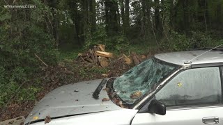 Who's responsible if that tree falls and hits your property?