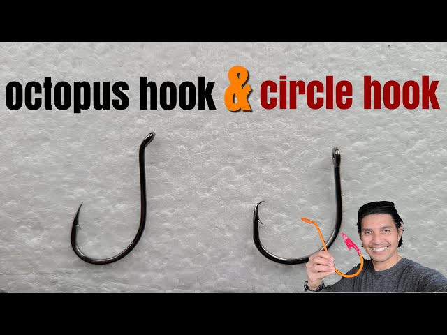 Octopus hook and Circle hook 