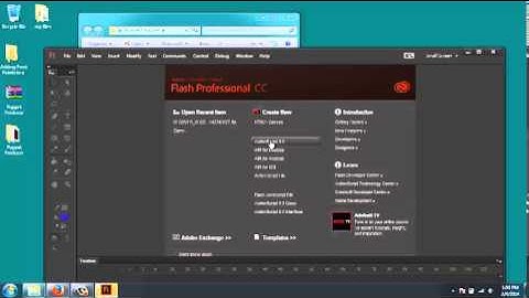Intalling and accessing Puppet Producer into Flash