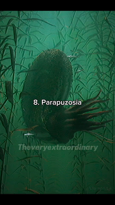 Top 10 most terrifying sea creatures of all time #prehistoric #ocean #marinelife #scary #extinct