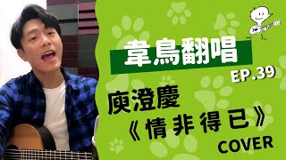 Video thumbnail of "【韋禮安翻唱】庾澄慶《情非得已》(WeiBird Cover)"