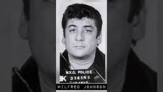 Famous 🗽BIGGEST🐀WHY WILFREDO "WILLIE BOY" JOHNSON - INFORMANT AND ASSOCIATE OF THE GAMBINO FAMILY. 2#CRIME Net Worth