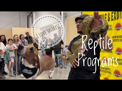 Our Educational Reptile Presentations at The Loveland Show Me Reptiles