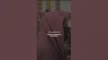 القرآن الكريم بصوت القارئ محمد اللحيدان #القرآن_الكريم