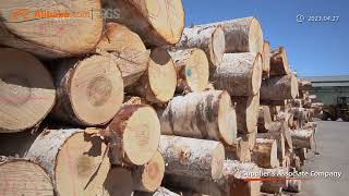 Ethan Natural Wood Products Ethan Wooden Cutlery Factory