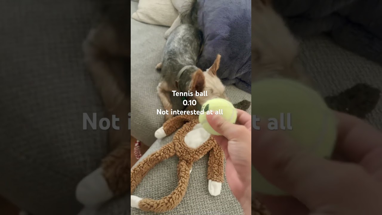 Coco’s favourite toys 