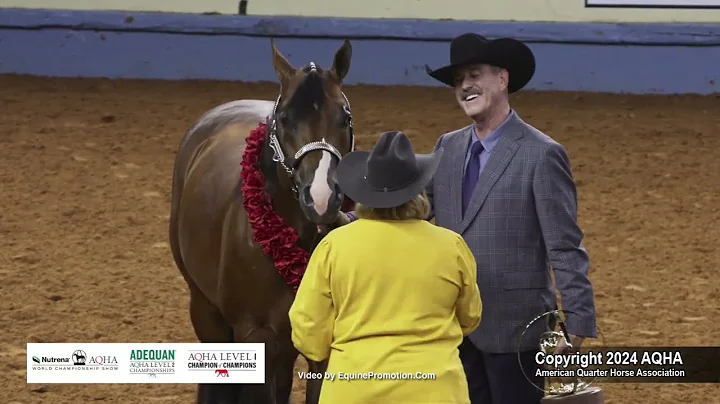Select Performance Halter Stallions - 2024 AQHA World Championship Show