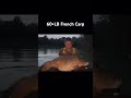 60lb French Carp!!! #fishing  #carpfishing #carpfish