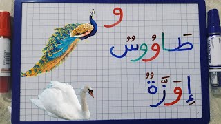 تعلم كتابة وقراءة حرف الواو مع الحركات والمدود/كتابة وقراءة كلمات بسيطة بها حرف الواو👆👍✏(المبتدئين).