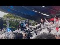 僕が見たかった青空 ライブ動画「空色の水しぶき」2026.05.07