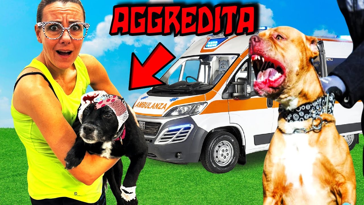 LA NOSTRA CAGNOLINA SPRIZZI VIENE SBRANATA DA UN CANE FEROCE!