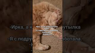 Душевно #cat #юмор #котмишель #мем #прикол