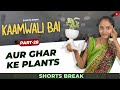    plants    kaamwali bai  part 27 shorts shortsbreak takeabreak
