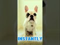 Captivate Your Dog! TRY These 5 Sounds NOW!
