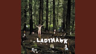 Video thumbnail of "Ladyhawk - New Joker"