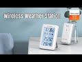 Temperature Humidity Monitor丨BlitzWolf BW-TM01 Weather Station - Banggood New Tech