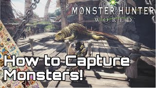 MONSTER HUNTER WORLD: ICEBORNE! How to Capture Monsters Guide