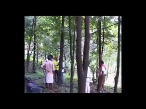 AGAR WOODS KERALA - AIS VIDEO