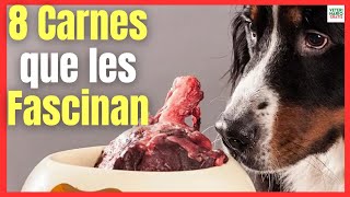 💝 ¿QUÉ 8 TIPOS DE CARNE SON LOS MEJORES PARA LOS PERROS? 💝